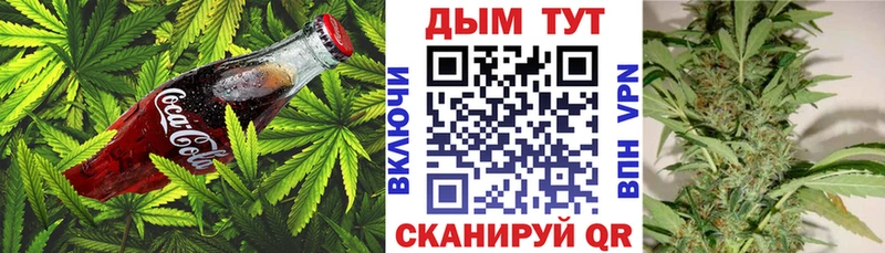 Canna-Cookies конопля  Дивногорск 