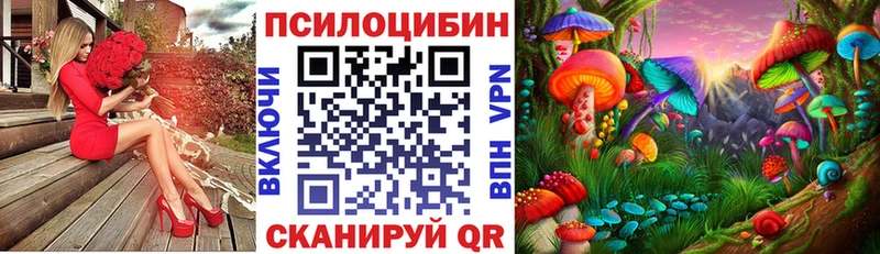 купить наркотики цена  Дивногорск  MEGA ссылки  Псилоцибиновые грибы мицелий 